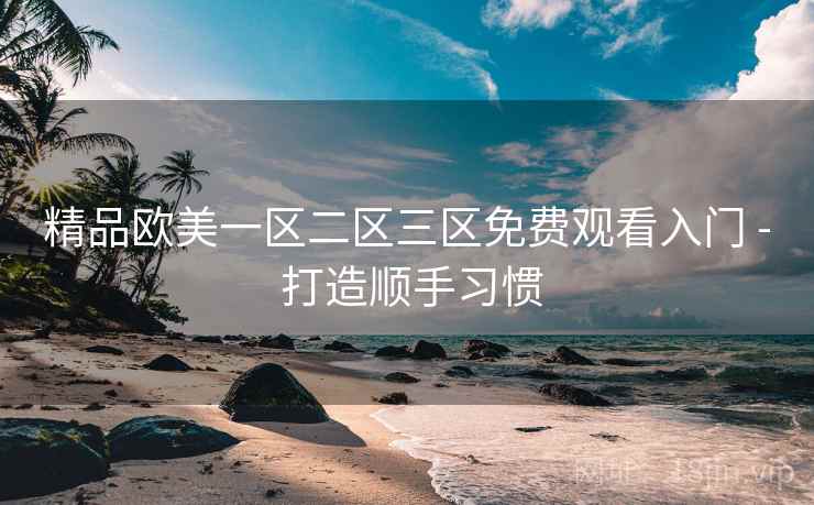精品欧美一区二区三区免费观看入门 - 打造顺手习惯