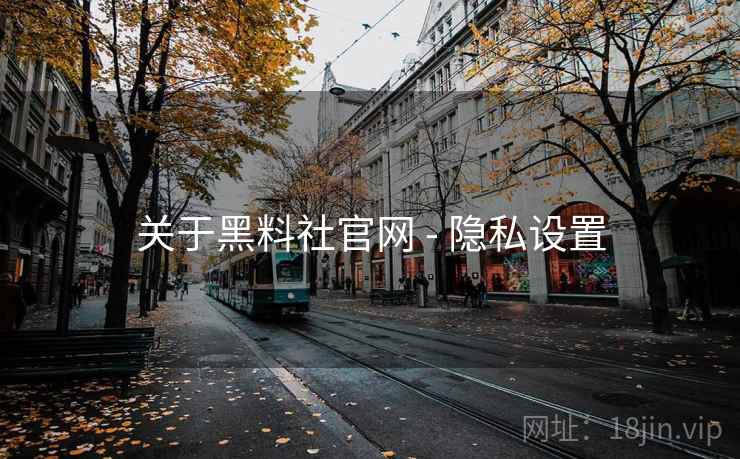 关于黑料社官网 - 隐私设置