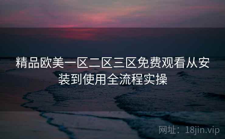精品欧美一区二区三区免费观看从安装到使用全流程实操