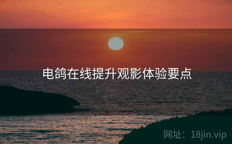 电鸽在线提升观影体验要点