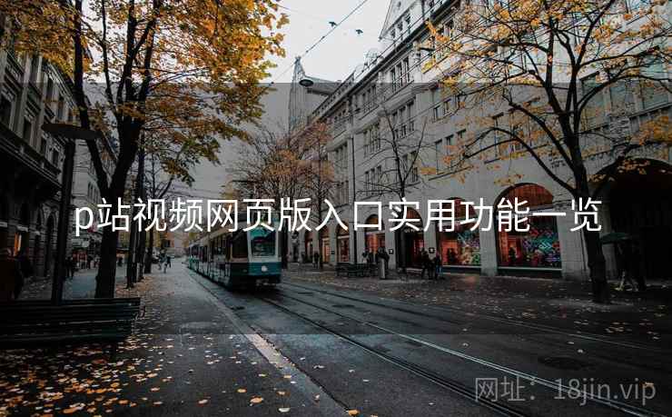 p站视频网页版入口实用功能一览