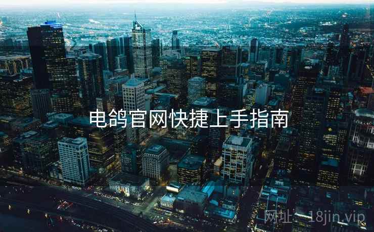 电鸽官网快捷上手指南
