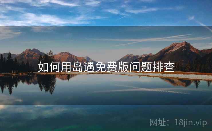 如何用岛遇免费版问题排查