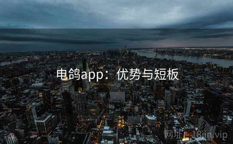电鸽app：优势与短板