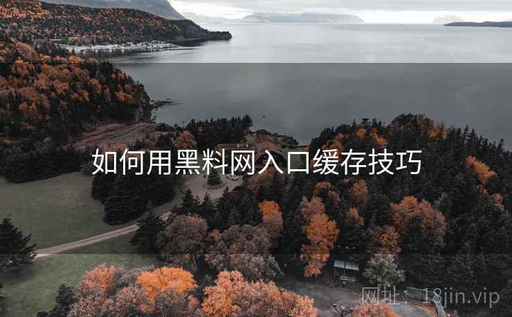 如何用黑料网入口缓存技巧