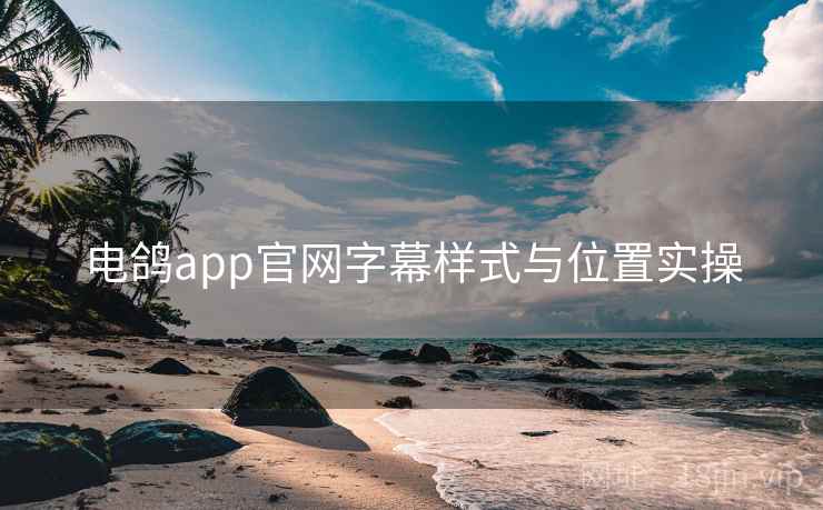 电鸽app官网字幕样式与位置实操