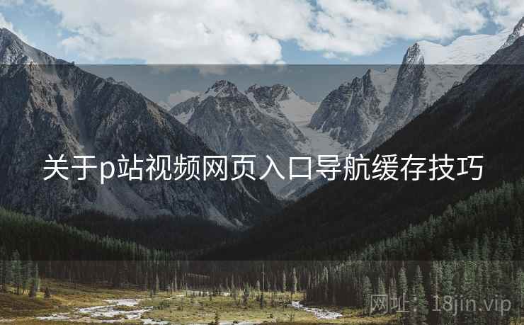 关于p站视频网页入口导航缓存技巧