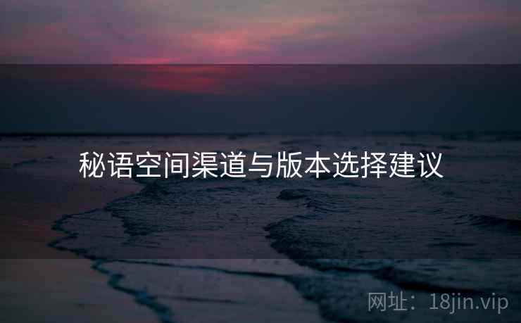 秘语空间渠道与版本选择建议