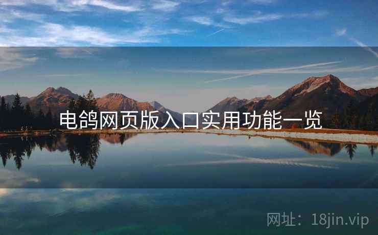 电鸽网页版入口实用功能一览