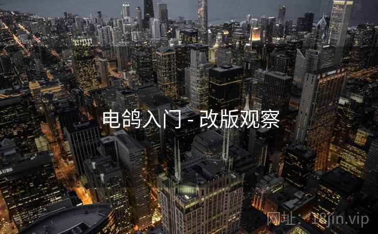 电鸽入门 - 改版观察
